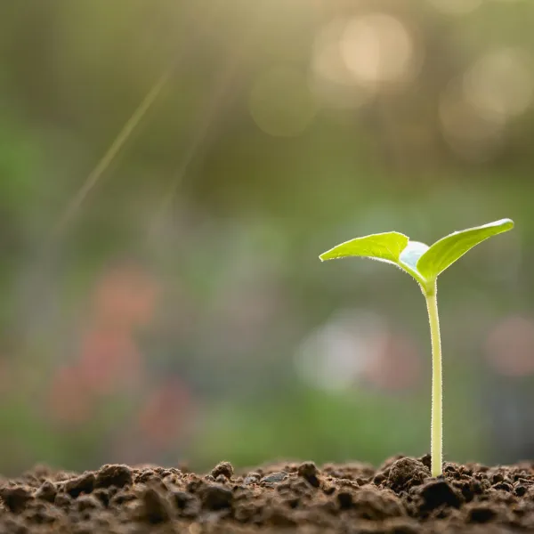 Personal growth and positive habit development