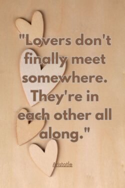 Plato love quote at the touch of love everyone becomes a poet