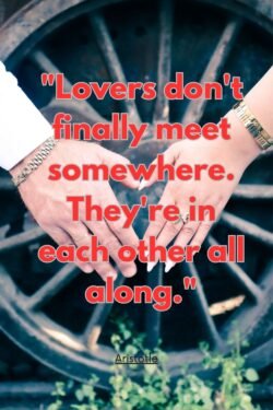 Aristotle love quote saying "Love is composed of a single soul inhabiting two bodies."